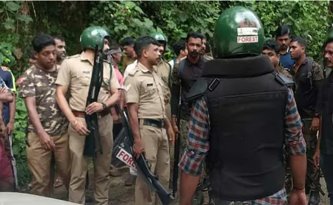 നരഭോജി കടുവയെ കണ്ടെത്തി, വനം വകുപ്പ് ഉദ്യോഗസ്ഥരില്‍ നിന്ന് 10 മീറ്റര്‍ അകലെ; മയക്കുവെടി വെക്കാനായില്ല