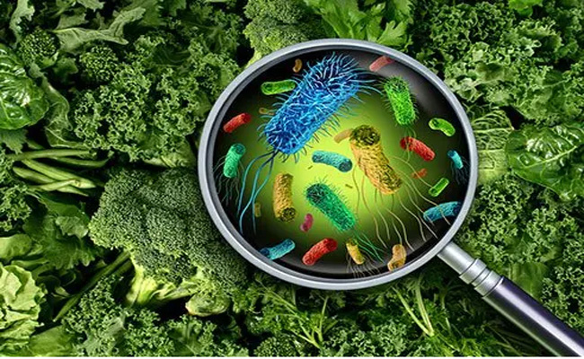 വയനാട്ടില്‍ സ്‌കൂള്‍ വിനോദയാത്രയ്ക്കിടെ ഭക്ഷ്യവിഷബാധ; 24 വിദ്യാര്‍ഥികള്‍ ആശുപത്രിയില്‍