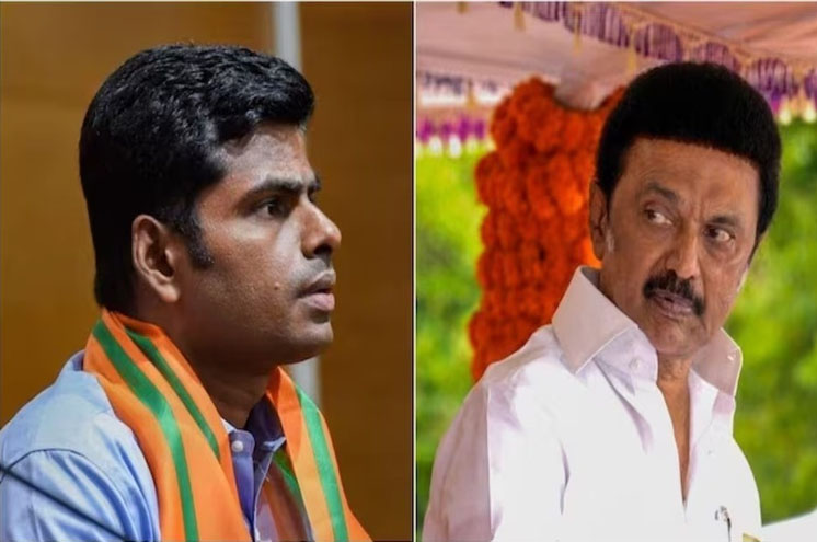 ഡിഎംകെ എന്നാല്‍ ഡെങ്കി, മലേറിയ, കൊതുക്’ എംകെ സ്റ്റാലിന് മറുപടിയുമായി അണ്ണാമലൈ