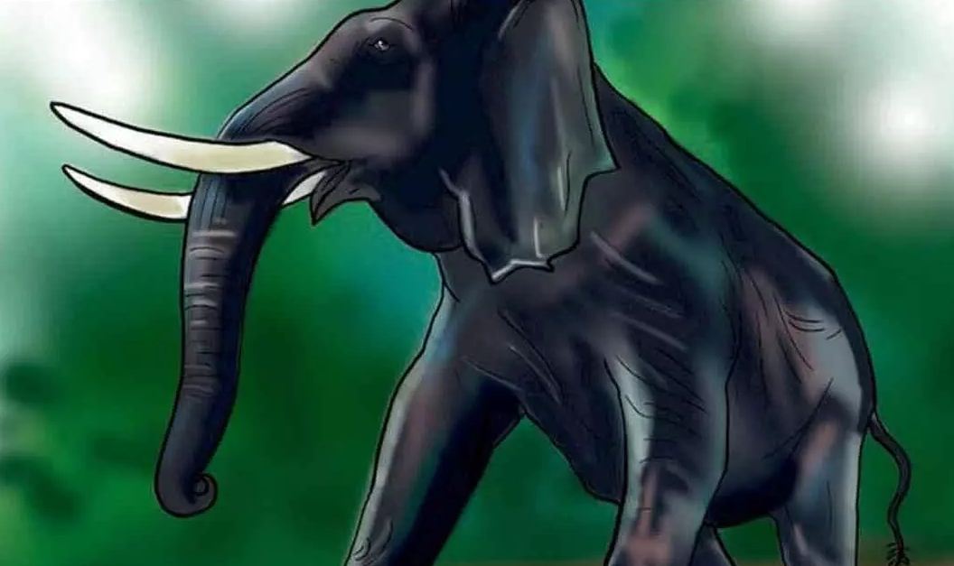 വീണ്ടും കാട്ടാന ആക്രമണം; ചക്കക്കൊമ്പൻ വീട് ആക്രമിച്ചു, പടയപ്പ ജനവാസ മേഖലയിൽ, ദേശീയപാതയിലും കാട്ടാന