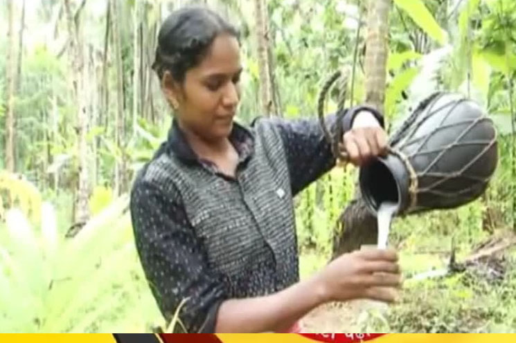 കേരളത്തിലെ ആദ്യ വനിത കള്ളുചെത്ത് തൊഴിലാളി; നിശ്ചയദാർഢ്യത്തിന്‍റെ മറുപേരായി കണ്ണൂരിലെ ഷീജ