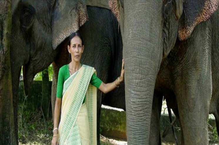 ഇന്ത്യയുടെ ആദ്യത്തെ വനിതാ പാപ്പാന്‍; ‘ഹസ്തി കന്യ’ എന്നറിയപ്പെടുന്ന പത്മശ്രീ പാര്‍ബതി ബറുവ