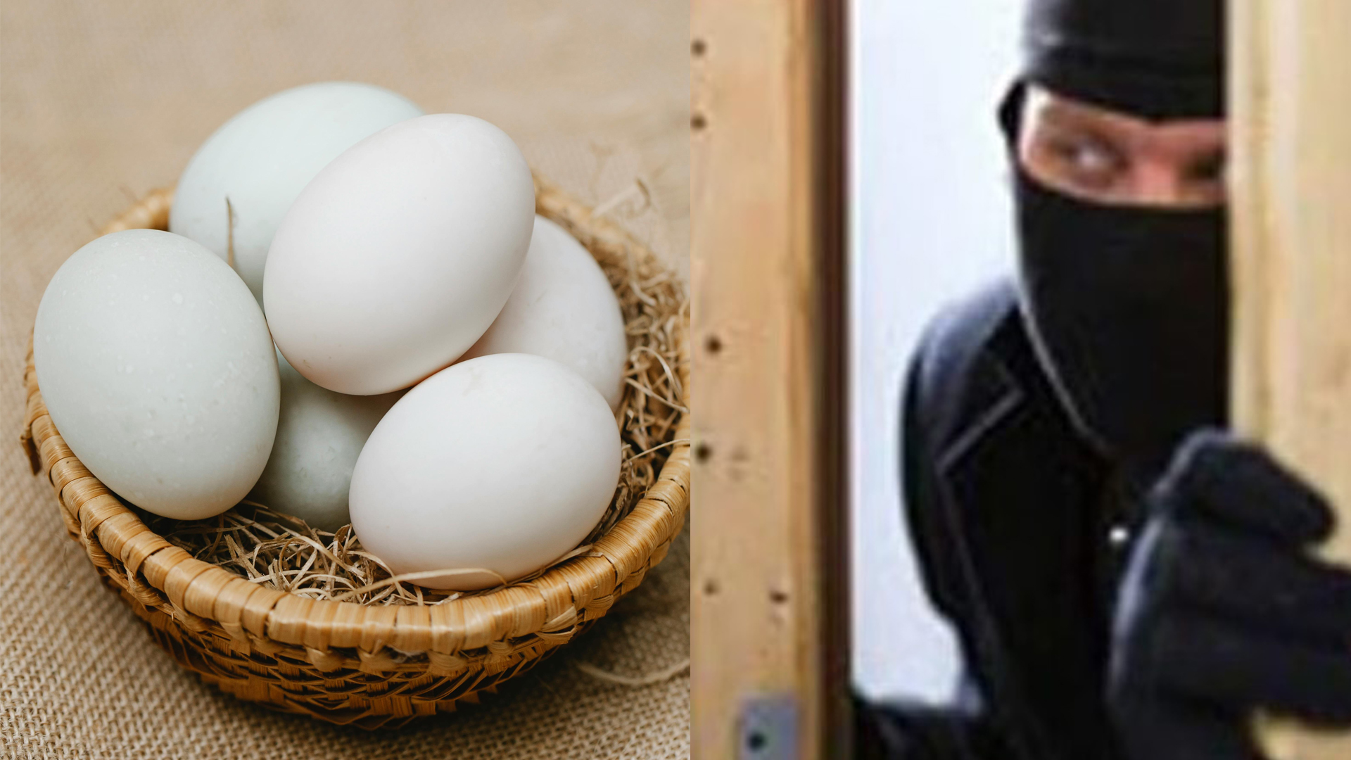 ഞാനാണ് ഇവിടെ കട്ടത്’; സ്കൂളിൽ കയറി കോഴിമുട്ടയും പണവും കവർന്ന ശേഷം ഡയറിക്കുറിപ്പെഴുതി വച്ച് കള്ളൻ