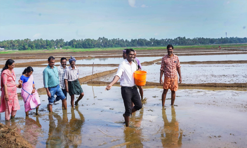 മാടിക്കുത്താൻ മുണ്ടില്ലെങ്കിലും തലയിൽ കെട്ടാൻ തോർത്തില്ലെങ്കിലും, പാന്റ്സ് തെറുത്തു കയറ്റി ചേറിലേക്ക് ഇറങ്ങി കലക്ടർ; കണിമംഗലം വയൽ പടവിൽ വിത്തെറിഞ്ഞ് ആവേശമായി അർജുൻ പാണ്ഡ്യൻ
