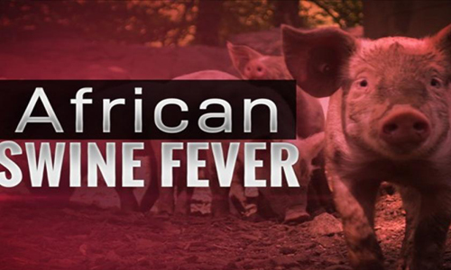 കോട്ടയത്ത് ആഫ്രിക്കൻ പന്നിപ്പനി സ്ഥിരീകരിച്ചു