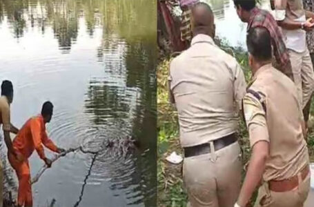 മകന്റെ മരണത്തിൽ മനോവേദന; കൈകൾ കൂട്ടിക്കെട്ടിയ നിലയിൽ; നെയ്യാറിൽ ദമ്പതികൾ ജീവനൊടുക്കി