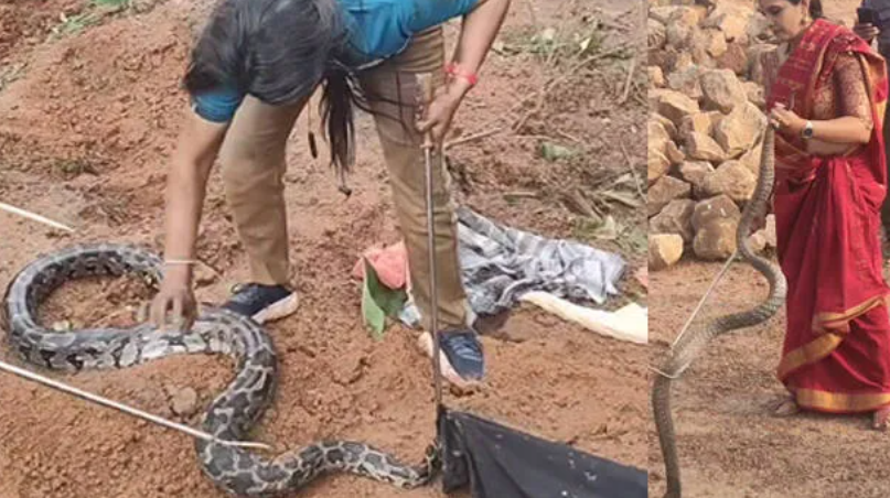 അഞ്ഞൂറിലധികം പാമ്പുകളെ പിടികൂടി വനം വകുപ്പ് ഉദ്യോഗസ്ഥ റോഷ്നി; വനിതാ ദിനത്തില്‍ വനിതകള്‍ക്ക് ഉര്‍ജ്ജമായി ഈ വനിത