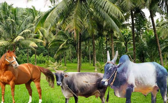 സര്‍വ്വ ഐശ്വര്യവും നിറഞ്ഞു നിങ്ങളുടെ വീടൊരു സ്വര്‍ഗ്ഗമാകും, ഈ 5 ചിത്രങ്ങള്‍ വീടിനുള്ളില്‍ സ്ഥാപിച്ചാല്‍