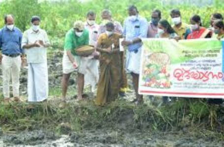 വികസനത്തെക്കുറിച്ച് പറയുക മാത്രമല്ല പ്രവർത്തിക്കുന്ന സർക്കാരാണിതെന്ന് മന്ത്രി അതിദാരിദ്ര്യ മുക്തമായി കണ്ണപുരം ഗ്രാമപഞ്ചായത്ത്; കൈപിടിച്ചുയർത്തിയത് 66 കുടുംബങ്ങളെ