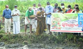 വികസനത്തെക്കുറിച്ച് പറയുക മാത്രമല്ല പ്രവർത്തിക്കുന്ന സർക്കാരാണിതെന്ന് മന്ത്രി അതിദാരിദ്ര്യ മുക്തമായി കണ്ണപുരം ഗ്രാമപഞ്ചായത്ത്; കൈപിടിച്ചുയർത്തിയത് 66 കുടുംബങ്ങളെ