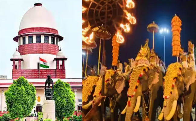 ഇടക്കാല ഉത്തരവിന് സ്റ്റേ, ഹൈക്കോടതിക്ക് സുപ്രീംകോടതിയുടെ വിമർശനം ആന എഴുന്നള്ളിപ്പ് സംസ്കാരത്തിന്‍റെ ഭാഗം