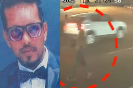 ഓടല്ലേടാ.. പൂച്ചക്കുട്ടിയെ രക്ഷിക്കാൻ വിലയായി നൽകിയത് സ്വന്തം ജീവൻ, നൊമ്പരമായി സിജോ