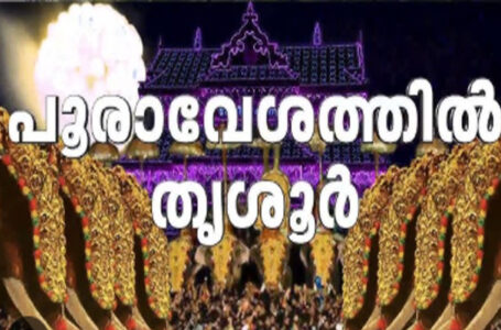 കണിമംഗലം ശാസ്താവ് വടക്കുംനാഥ സന്നിധിയിൽ; തെച്ചിക്കോട്ടുകാവ് രാമചന്ദ്രന്റെ പുറത്തേറി ചെമ്പൂക്കാവ് ഭഗവതി; തൃശൂരിൽ ‘പൂരം വൈബ് ലൈവ്