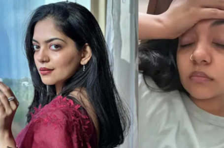വീടിനടുത്ത് രാവിലെ മുതൽ രാത്രി വരെ ഒരേ ശല്യം,​ വീഡിയോയെടുത്ത് പോസ്റ്റ് ചെയ്ത് അഹാന