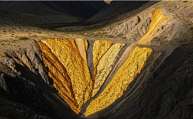 30 വര്‍ഷത്തിനിടയില്‍ അര്‍ജന്റീന യ്ക്ക് ജാക്ക്‌പോട്ട്! വലിയ സ്വര്‍ണം, വെള്ളി, ചെമ്പ് നിക്ഷേപം കണ്ടെത്തി