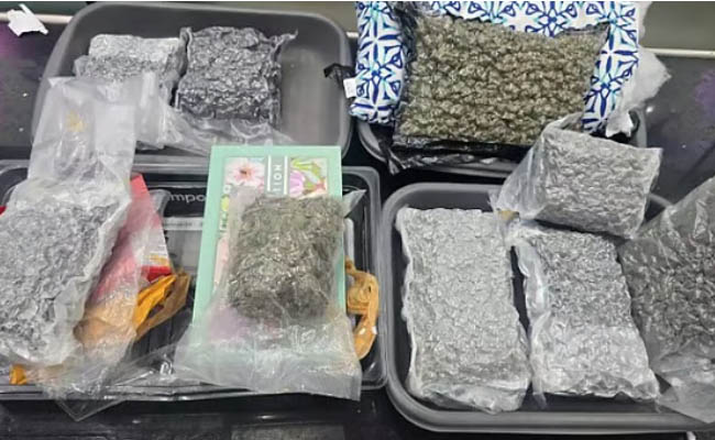 10 കോടി രൂപയുടെ ഹൈബ്രിഡ് കഞ്ചാവ്; തിരുവനന്തപുരം വിമാനത്താവളത്തില്‍ യുവതിയും യുവാവും പിടിയില്‍