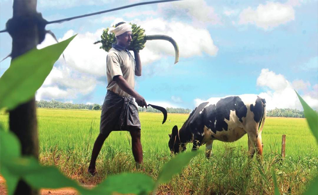 എ.ഡി. 825 ലാണ് മലയാളികള്‍ക്കായി കൊല്ലവര്‍ഷം പിറന്നത്; മലയാളികള്‍ പുതിയ നൂറ്റാണ്ടിലേക്ക്; 46 വയസ് പിന്നിട്ടവര്‍ അതിഭാഗ്യവാന്മാർ