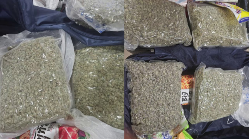 ഇരിഞ്ഞാലക്കുട സ്വദേശി നെടുമ്പാശ്ശേരി വിമാനത്താവളത്തിൽ ഹൈബ്രിഡ് കഞ്ചാവുമായി പിടിയില്‍