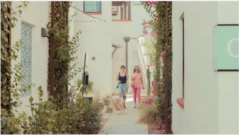 മണിക്കൂറിന് 500 രൂപ കൊടുക്കണം; ഇവിടെ എത്തിയാൽ കാർ യാത്ര സ്വപ്നം മാത്രം, സഞ്ചാരികൾ നോക്കിവച്ചോ