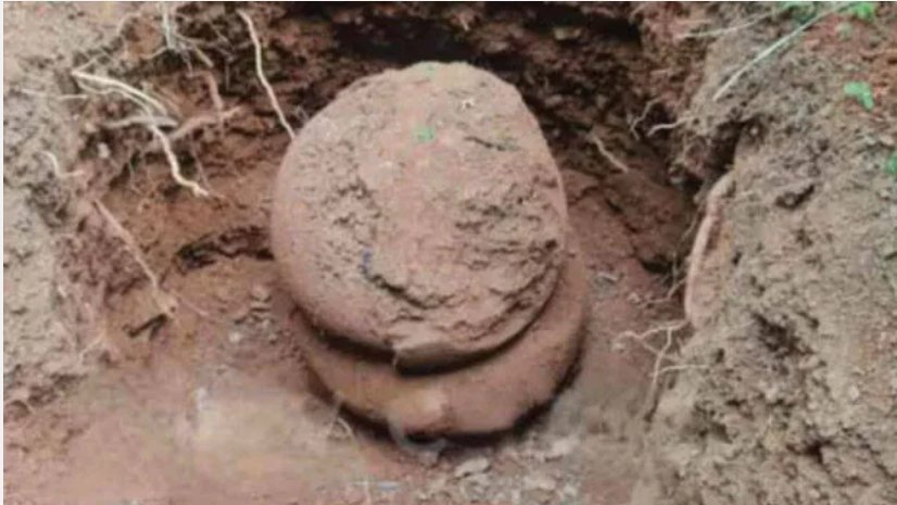 മലപ്പുറത്ത് അസാമാന്യ വലിപ്പത്തിൽ അപൂർവയിനം നന്നങ്ങാടി കണ്ടെത്തി; ഉള്ള് പരിശോധിച്ചപ്പോൾ കണ്ടത്