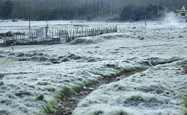 മൂന്നാറില്‍ വീണ്ടും മൈനസ് താപനില, തണുത്തുറഞ്ഞ് ഹിൽസ്റ്റേഷൻ, സഞ്ചാരികളുടെ ഒഴുക്ക്; വയനാട്ടിലും അതിശൈത്യം