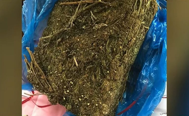 സമ്മേളനത്തിനായി നേതാക്കൾ വിളിച്ചു, ഫോണെടുത്തത് സിഐ; ഹൈബ്രിഡ് കഞ്ചാവുമായി ഡിവൈഎഫ്‌ഐ പ്രവര്‍ത്തകന്‍ ഉള്‍പ്പെടെ പിടിയില്‍