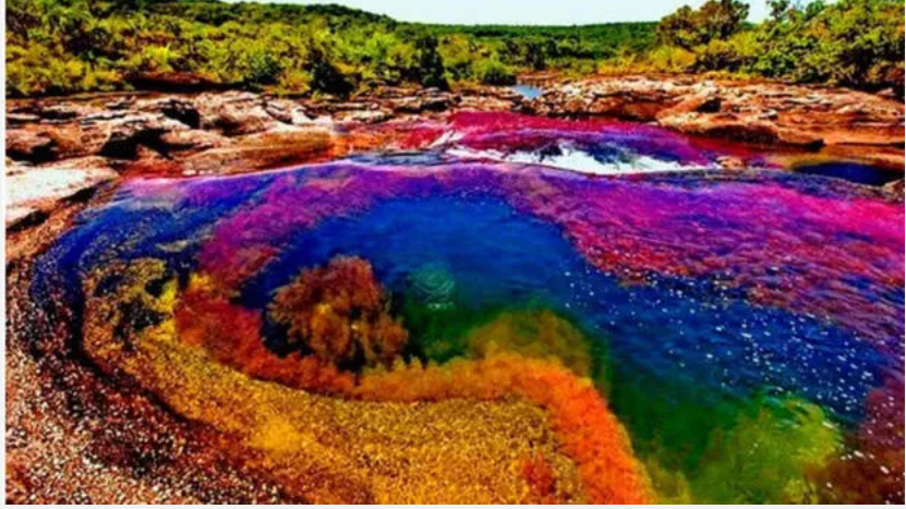 പച്ചയും മഞ്ഞയും ചുവപ്പുമൊക്കെയായി നിറം മാറും, ഇടയ്‌ക്ക് മഴവില്ല് തെളിയും, വിചിത്ര കാഴ്‌ചയായി പുഴ