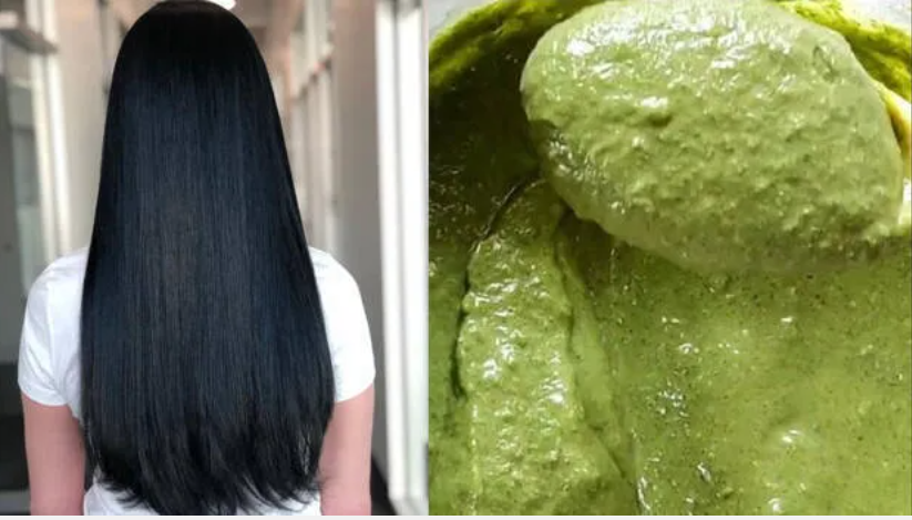 ഒറ്റ മുടി നരയ്ക്കില്ല; വീട്ടുമുറ്റത്തെ ഈ ഇല മതി, മുടി കട്ടക്കറുപ്പാകും