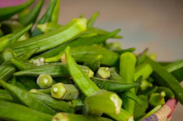 ഇതൊരു സ്‌‌പൂൺ ചേർത്താൽ മതി; വെണ്ടയ്ക്കയിലെ വഴുവഴുപ്പ് മാറികിട്ടും, കുട്ടികൾ വരെ ചോദിച്ചുവാങ്ങും