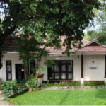 വീട്ടുമുറ്റത്ത് ഈ മരമുണ്ടോ,​ കൈനിറയെ പണമെത്തും ,​ ഒന്നിൽ നിന്ന് ലഭിക്കുന്നത് 5000 രൂപ വരെ