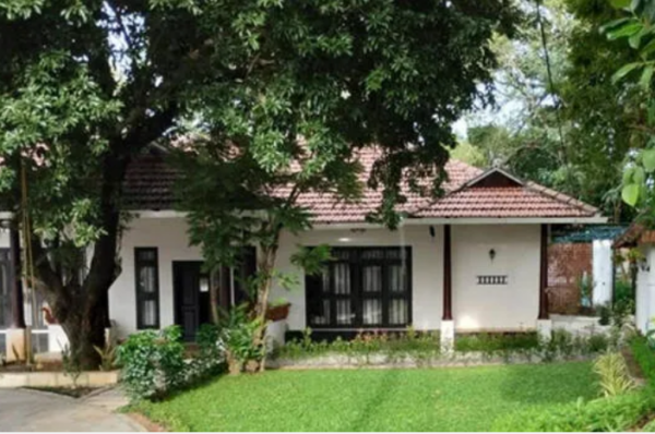 വീട്ടുമുറ്റത്ത് ഈ മരമുണ്ടോ,​ കൈനിറയെ പണമെത്തും ,​ ഒന്നിൽ നിന്ന് ലഭിക്കുന്നത് 5000 രൂപ വരെ