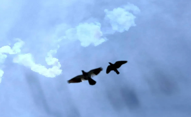 ഗൾഫ് മേഖലയിൽ ഇറാൻ്റെ മിസൈൽ-ഡ്രോൺ വർഷം; പ്രതിരോധിച്ച് സൗദിയും ഖത്തറും യുഎഇയും; വൻ നാശനഷ്ടം, ജപ്പാൻ പൗരന്മാരെ ഒഴിപ്പിക്കുന്നു, സംഘര്‍ഷം ആറാം ദിവസത്തിലേക്ക്