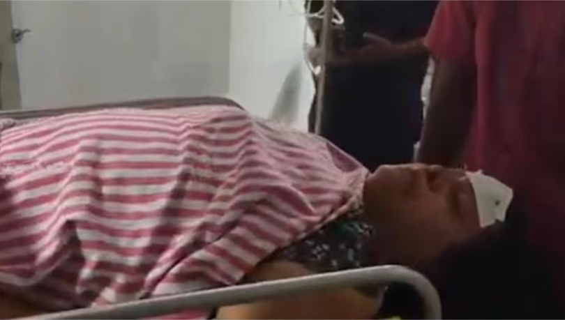 കാട്ടുപോത്ത് വാഹനം ഇടിച്ചിട്ടു, റോഡിലേക്ക് തെറിച്ചുവീണ ദമ്പതികൾക്ക് പരിക്ക്