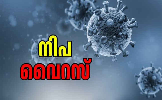 നിപ ബാധിതന്റെ നില ഗുരുതരമായി തുടരുന്നു; പ്രതിരോധ പ്രവര്‍ത്തനം ഊര്‍ജ്ജിതം